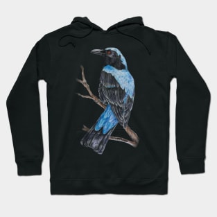 Asian Fairy Bluebird SING FOR SONGBIRDS Hoodie